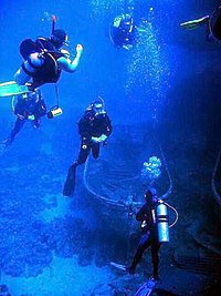 Scuba-diving, grouped
