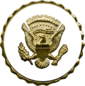 США - Значок службы вице-президента.png