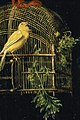 Detalle del pájaro, la jaula y la camomila.