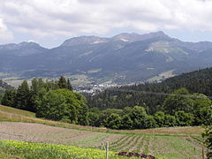 Forêt de Villard, secteur des Olivets