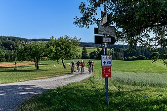 Radfahrer bei Elmegg in Bad Leonfelden