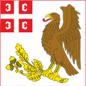 クラグイェヴァツの市旗