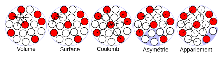 Illustration des termes de la formule de Bethe-Weizsäcker dans le modèle de la goutte liquide du noyau atomique. Les protons sont représentés par les ronds rouges et les neutrons par les ronds blancs.