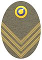 Badge m/40 to field cap