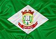 Vlag van Bueno Brandão