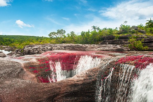 CAÑO CRISTALES, SECTOR LOS OCHOS (COLOMBIA)