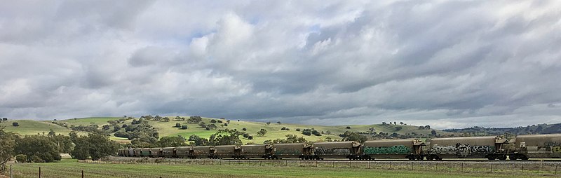 wagons waiting to enter Avon Yard 2019