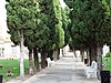 Cementerio de Benimámet