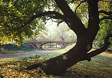 Декоративный мост с большим кривоствольным деревом на переднем плане.