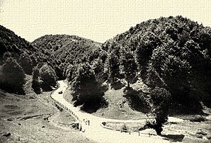 Șoseaua spre Pasul Ciucea la începutul anilor 1940.