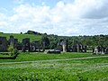 View of Easby Abbey from the north-east, May 2007