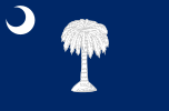 Bandeira da Carolina do Sul (28 de janeiro de 1861 — 28 de setembro de 1861)