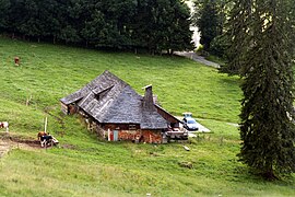 Un chalet d'alpage suisse romand dont la toiture est entièrement recouverte de tavillons.