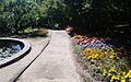 マリーゴールドの咲く園路とハス池