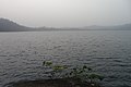 Vue panoramique du Lac Barombi