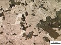 Granodiorit bei linear polarisiertem Licht