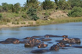 ISimangaliso Wetland Park