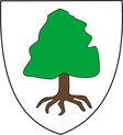 Szászmagyarós község címere