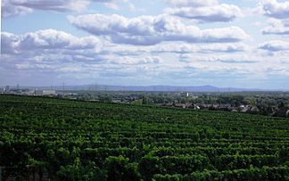 Blick von Hochheim am Main nach Südosten über die Oberrheinische Tiefebene bis zum Vorderen Odenwald. Die markante Erhebung im rechten Bilddrittel ist der Melibokus in 38 km Entfernung. Rechts vom Melibokus setzt sich die Bergstraße nach Süden weiter fort.