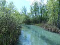 Inninger Bach zwischen Wörthsee und Bachern