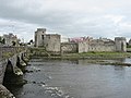 John Castle Limerick-seabhcan.jpg