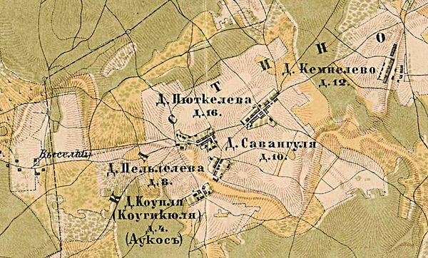 Деревня Саванкюля в составе деревни Кастино. 1885 год