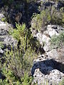 Sobre la Vall, les posicions estaven comunicades per trinxeres que actualment (2013) es troben cobertes de vegetació.