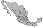Mexicali, Mishiku