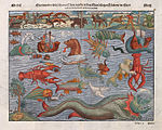 Tysk plansje av ulike sjøuhyre (Meerwunder) frå omkring 1544, samla frå Carta Marina.