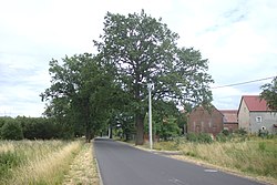 Houses by the road