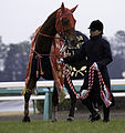 2012年12月28日 (金) 12:44時点における版のサムネイル