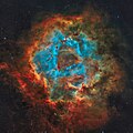 Nebulosa Roseta em Paleta Hubble (Ha/OIII/SII) por astrônomo amador