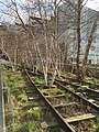 New York High Line im April 2018