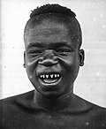 Ota Benga au Muséum américain d'histoire naturelle (New York).