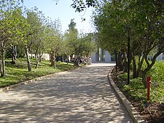 PikiWiki Israel 12492 the righteous among the nations avenue in yad vash.jpg