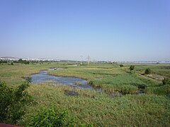 Lago de Mandra