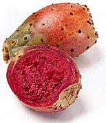 fruit d'Opuntia ficus-indica