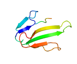 Протеин CHRNA1 PDB 1Y5P.png