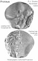 Pisipilt versioonist seisuga 10. juuni 2014, kell 06:36