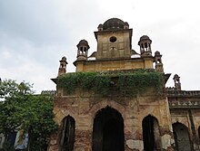 Old building façade with plasters worn out and inner bricks seen with creepers climbing around.