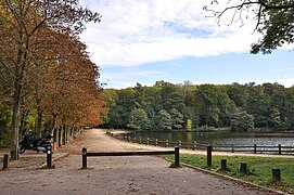 Vue sur l'étang.