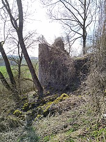 Überrest eines Turmes der Hohenburg bei Thalheim, überwuchert von Pflanzen