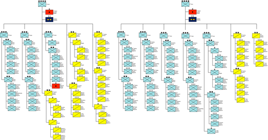 Organization of the Imperial Russian Army at the Battle of Tannenberg[1]