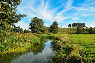 Fluss Pasłęka