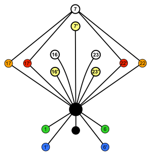 Подгруппа Oh; Dih4xC2 07; цикл graph.svg