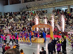 Futbol sala (1978, professional des del 14 de setembre de 2006)