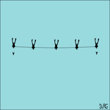 Swimline search pattern Swimline search pattern.png