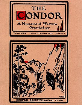 Обложка The Condor 1922 года