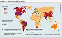 Application of genetically modified food throughout the globe. Use of GM crops throughout the globe.jpg