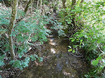 Le Vimont au niveau d'un chemin situé au sud-ouest du bourg.